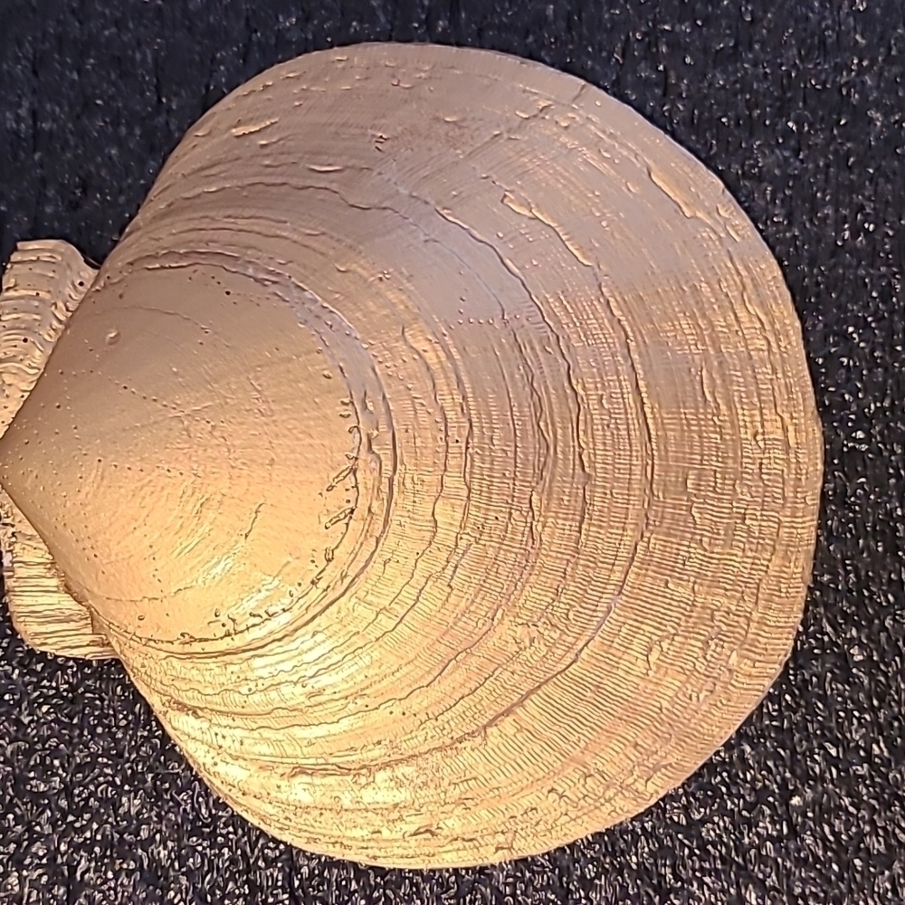 Anchor SEA SHELL TRINKET SHELL (Handcrafted) - Picture 7 of 7